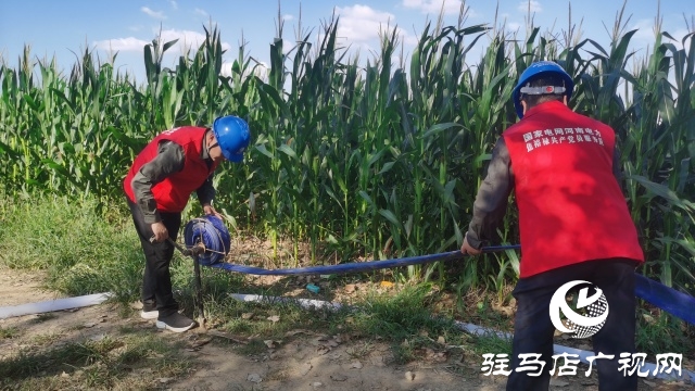 國(guó)網(wǎng)駐馬店供電公司：黨員先鋒在一線 抗旱保秋護(hù)民生
