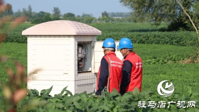 國網(wǎng)正陽縣供電公司：電力護(hù)航戰(zhàn)旱情 清流潤田解民憂