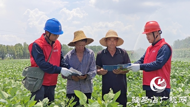 國網(wǎng)汝南縣供電公司：把好三道關口 護航抗旱保電