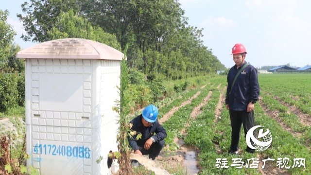 國網(wǎng)正陽縣供電公司：電力護(hù)航戰(zhàn)旱情 清流潤田解民憂