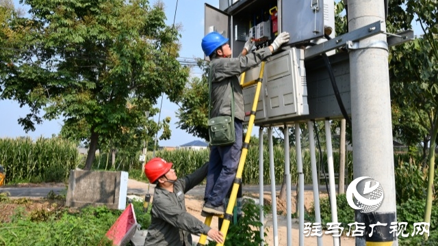 國網(wǎng)確山縣供電公司：汗水鑄就“強(qiáng)電網(wǎng)”  守護(hù)秋糧“生命線”