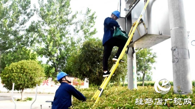 國(guó)網(wǎng)平輿縣供電公司：多措并舉護(hù)農(nóng)耕 抗旱保電潤(rùn)心田