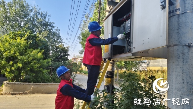 國網(wǎng)新蔡縣供電公司：精細排查筑根基 抗旱保秋顯實效