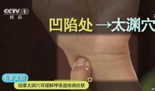 立秋如何養(yǎng)肺？怎么吃更健康？換季養(yǎng)生小貼士請查收