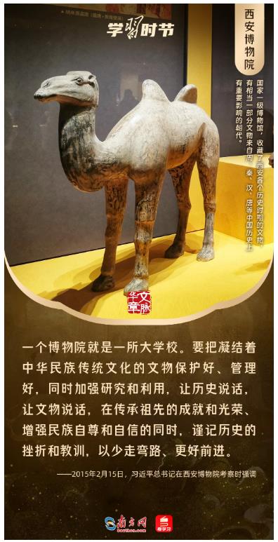 文脈華章丨暑期“博物館熱”，跟著總書記探尋中華文明