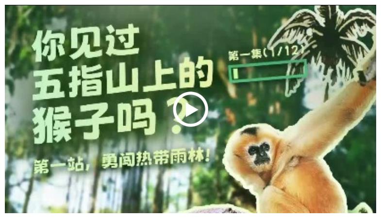 幸會中國 | 走進五指山，探秘“人與自然和諧共生”之道