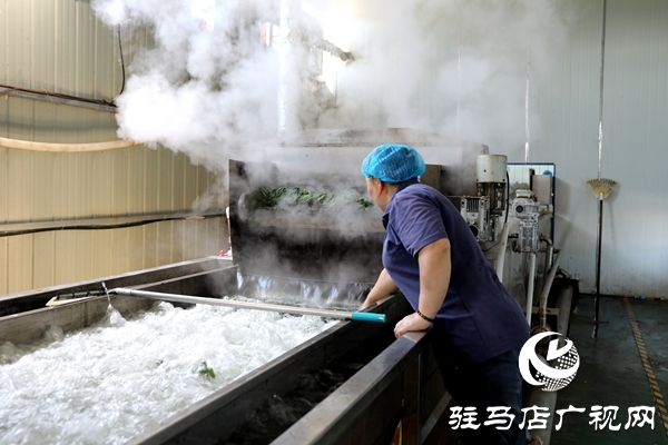 平輿縣：小芝麻葉“織”就富民大產業(yè)