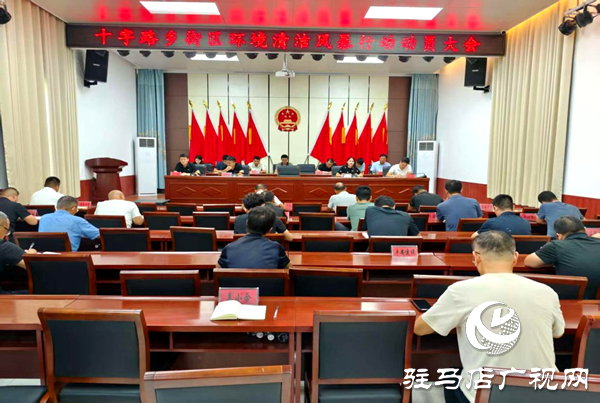 平輿縣十字路鄉(xiāng)：環(huán)境整治三步走，擦亮文明新底色