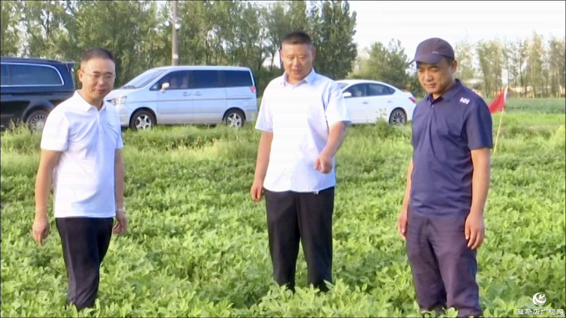 正陽縣：農(nóng)技人員搶抓農(nóng)時 田間“把脈問診”