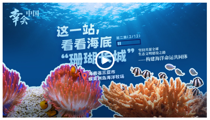 幸會(huì)中國(guó) | 守護(hù)珊瑚之美，共筑“海洋命運(yùn)共同體”