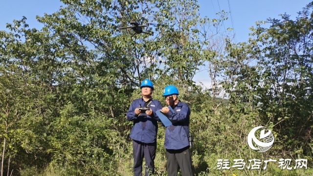 國(guó)網(wǎng)確山縣供電公司：奮戰(zhàn)“秋老虎”，織密“清涼網(wǎng)”