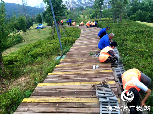 確山縣住建局：推動公園提質(zhì) 讓群眾幸福感持續(xù)升溫