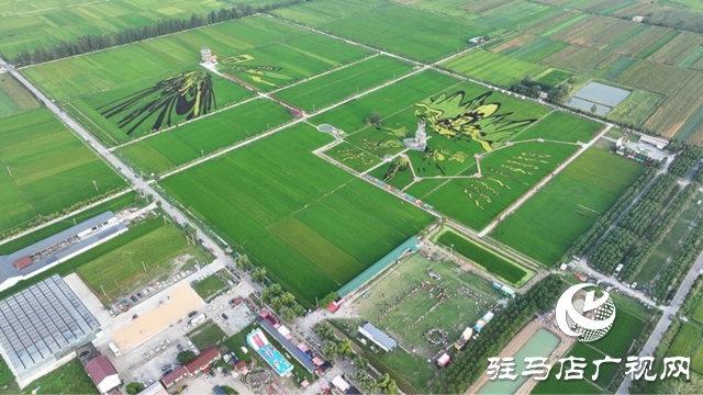 2025年河南省萬村千鄉(xiāng)農(nóng)民籃球賽駐馬店賽區(qū)暨社區(qū)運(yùn)動會確山留莊稻田公園站活力開幕 