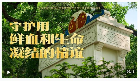守護用鮮血和生命凝結的情誼