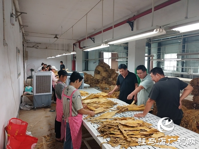 泌陽縣郭集鎮(zhèn)：多措并舉備戰(zhàn)煙葉收購工作