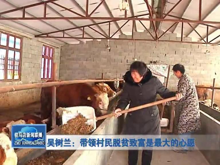 吳樹蘭：帶領(lǐng)村民脫貧致富是最大的心愿