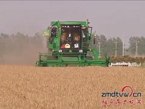我市夏收結(jié)束 夏種大頭落地