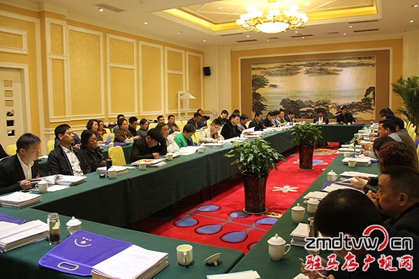工商聯(lián)及新社會(huì)階層組委員分組討論.JPG